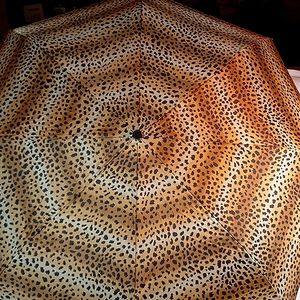 Lovely's Collection Umbrella